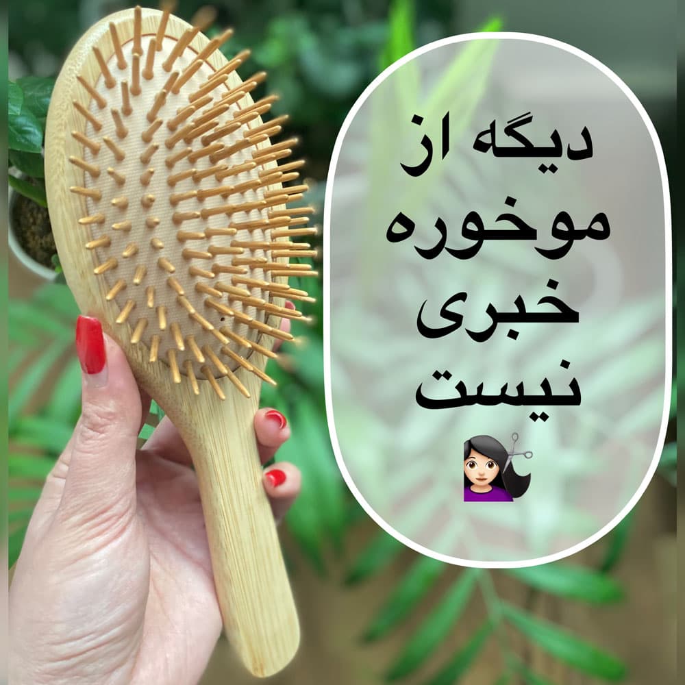 برس بامبو بیضی مدل پینز شارپ یا نوک تیز — تصویر ۸