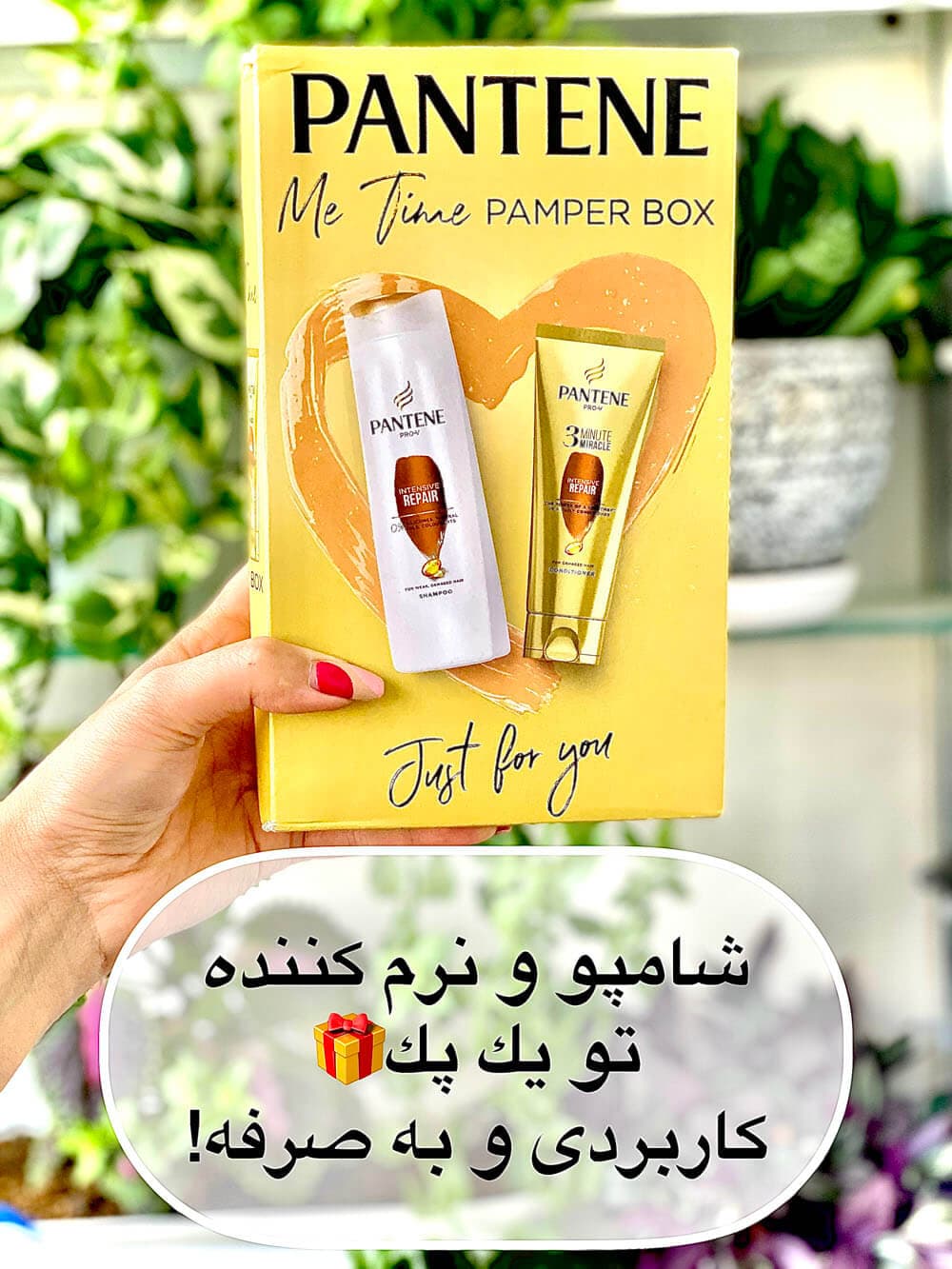پک شامپو و نرم کننده پنتن مدل ترمیم کننده