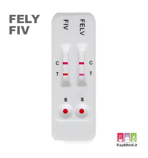 کیت FELV/FIV گربه
