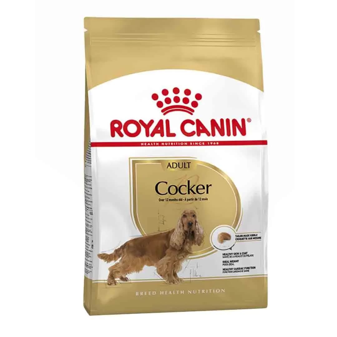غذای خشک سگ بالغ نژاد کوکر اسپانیول رویال کنین 3 کیلوگرمی | Royal Canin cocker adult dry food 3kg