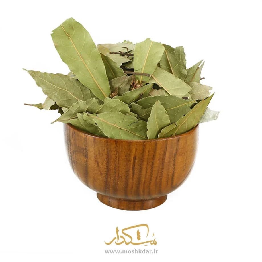 برگ کاری — تصویر ۲