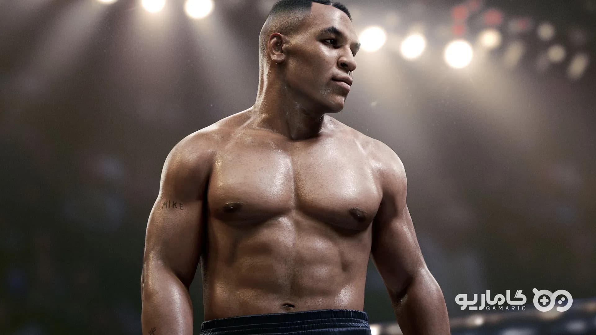 UFC 5 Ultimate Edition — تصویر ۵