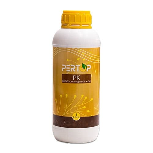 پرتاپ PK