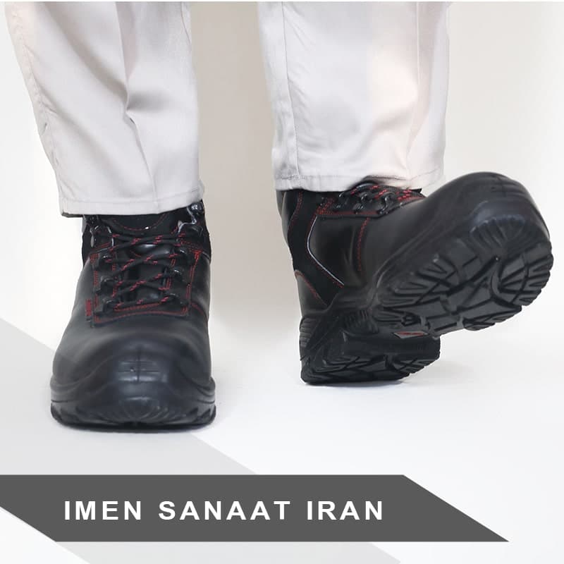 پوتین ایمنی چیتا