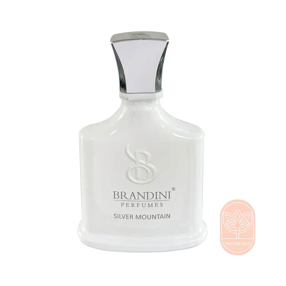 عطر ادکلن سیلور مونتین برندینی | Silver mountain Brandini — تصویر ۸