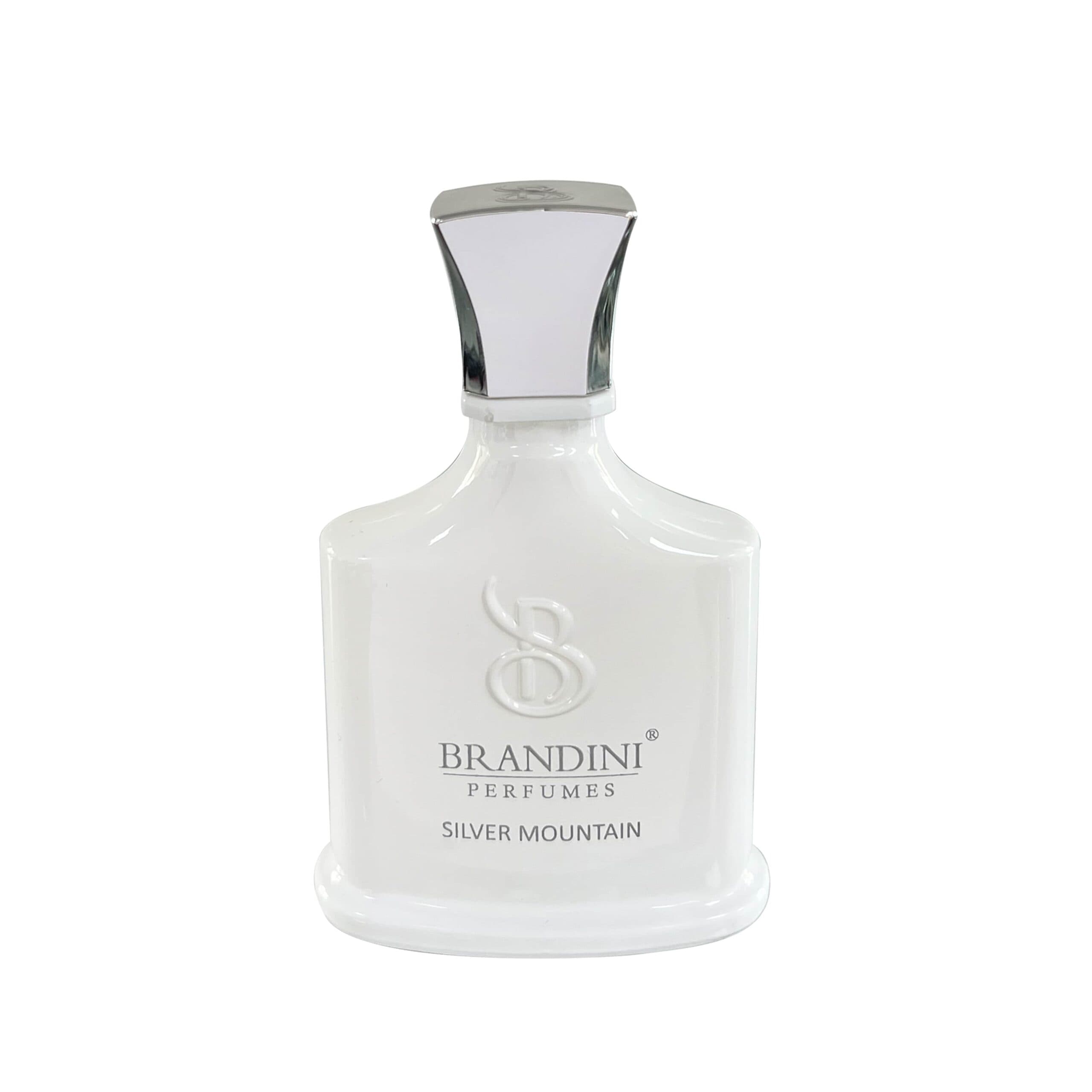 عطر ادکلن سیلور مونتین برندینی | Silver mountain Brandini — تصویر ۵