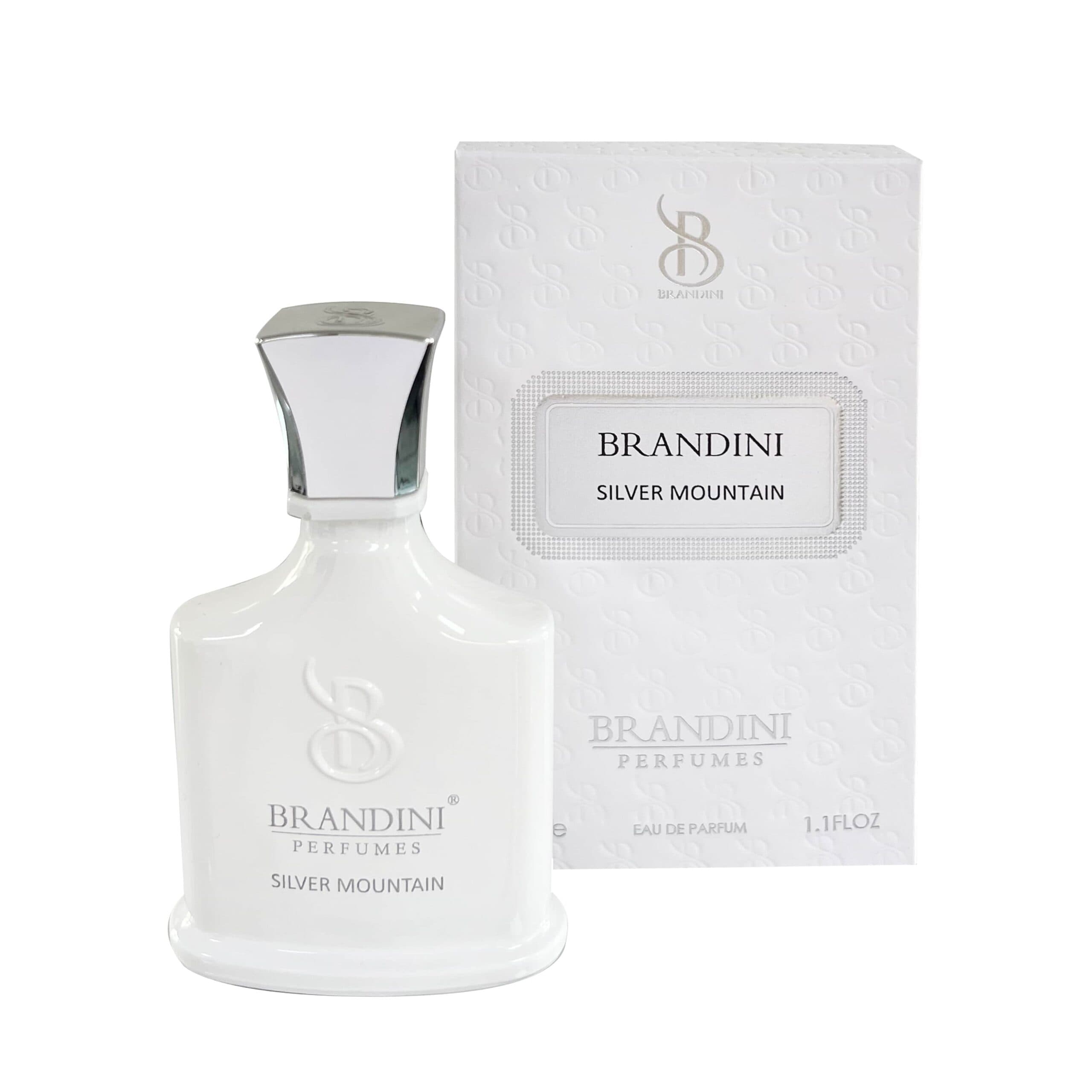 عطر ادکلن سیلور مونتین برندینی | Silver mountain Brandini