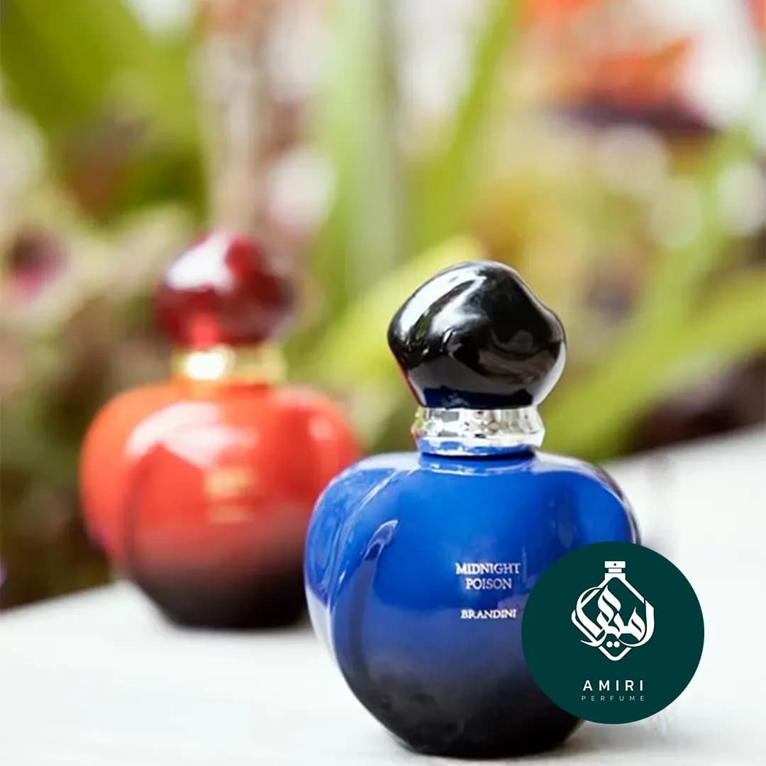 عطر ادکلن میدنایت پویزن برندینی | Midnight Poison Brandini — تصویر ۶