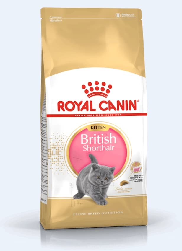 غذای خشک بچه گربه (کیتن) بریتیش شرت هیر رویال کنین (وزن 2KG) BRITISH SHORT HAIR (KITTEN)-ROYAL CANIN