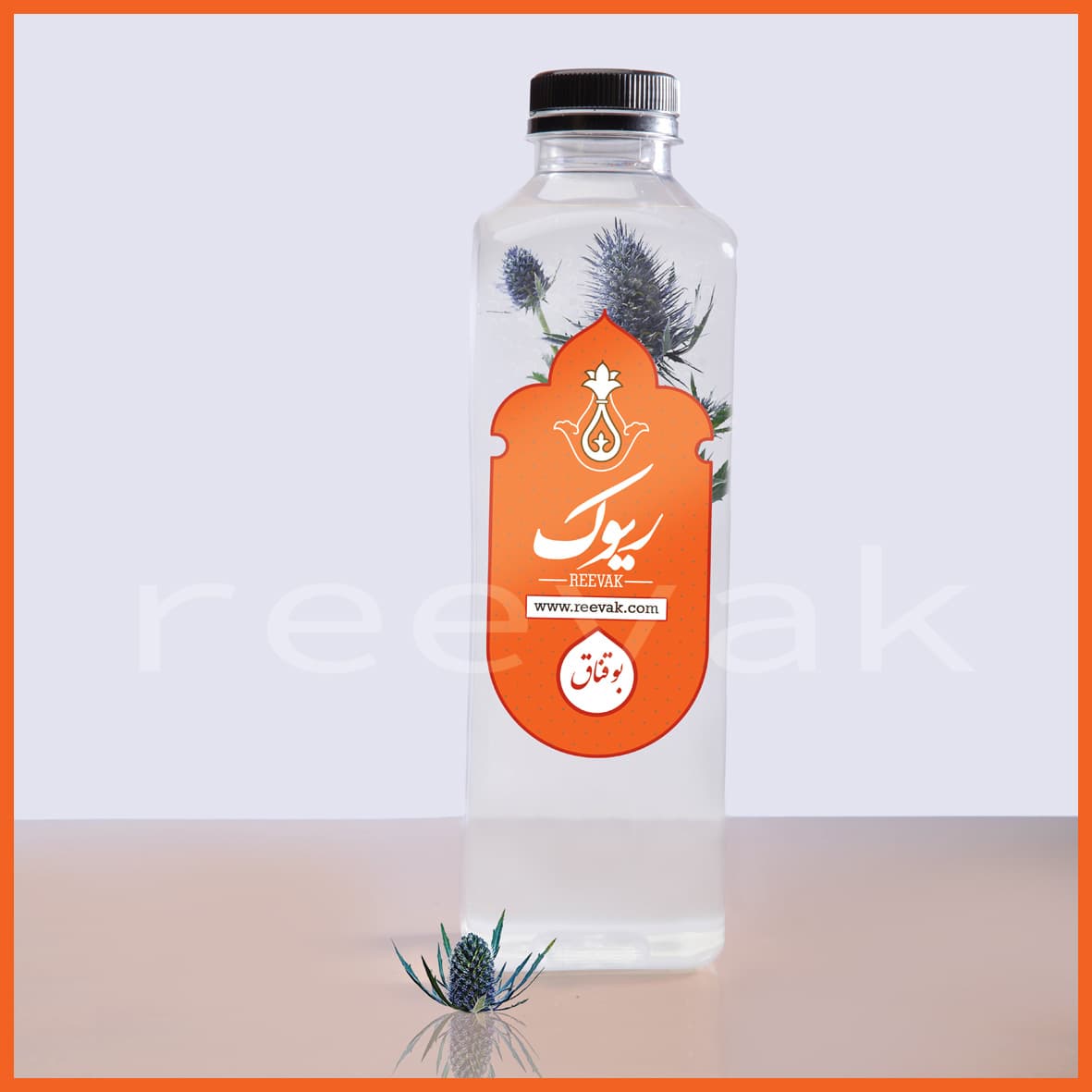 عرق بوقناق