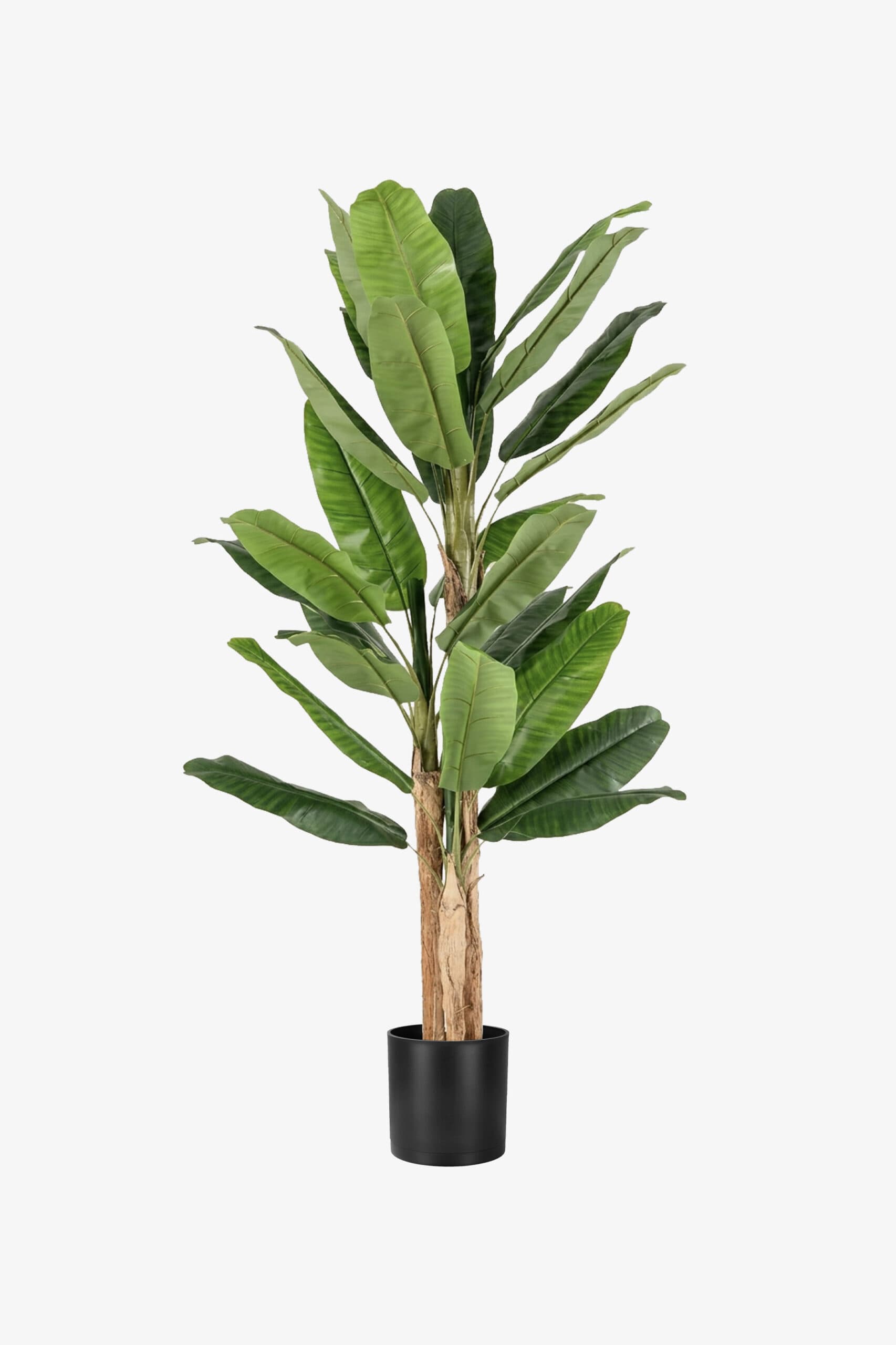 درختچه مصنوعی موز سه تنه 2 متری