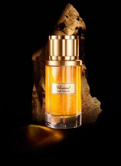 ادوپرفیوم مردانه شوپارد عود ملکی _ Chopard Oud Malaki — تصویر ۴