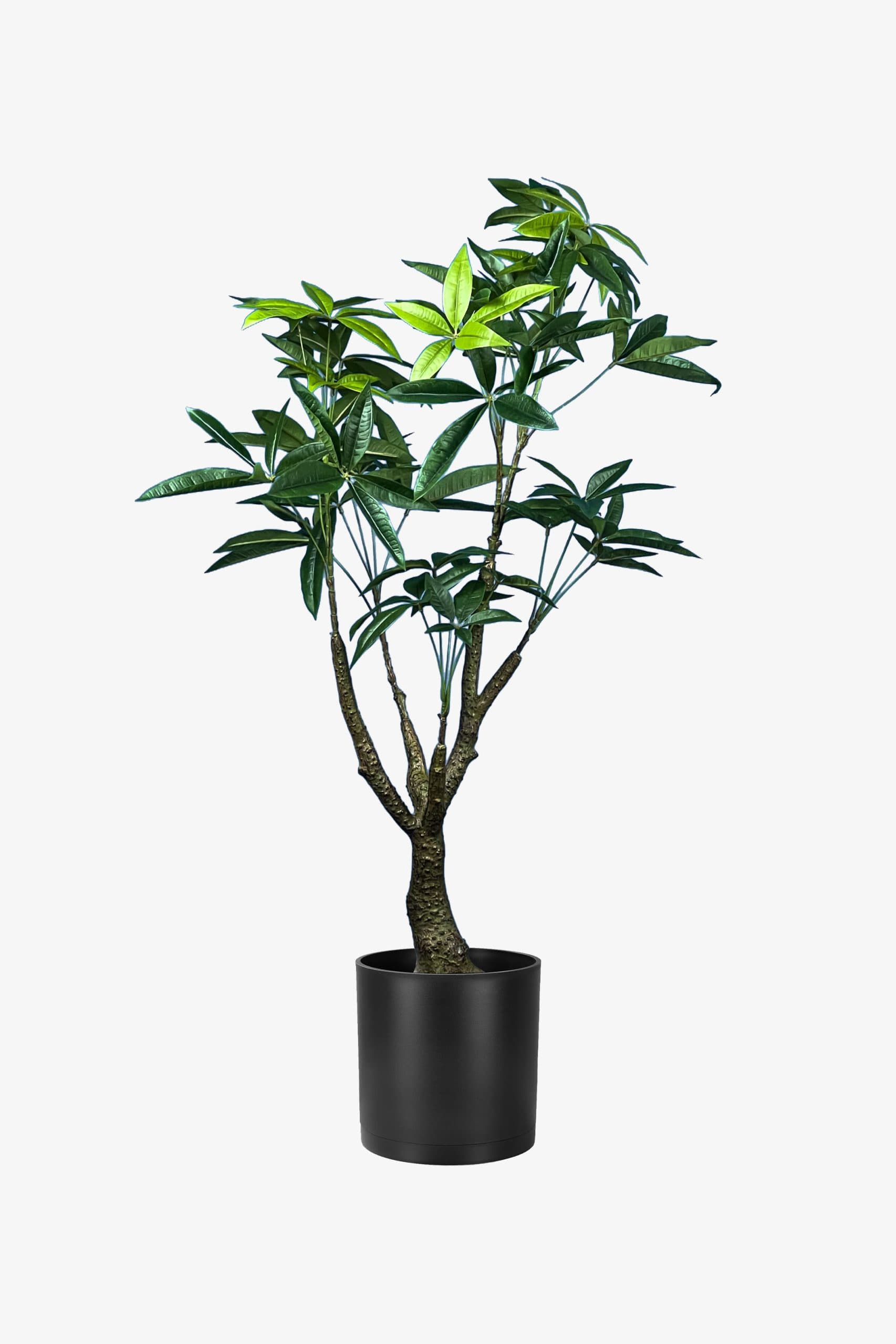 درختچه مصنوعی پاچیرا تنه چوبی 110 سانتی