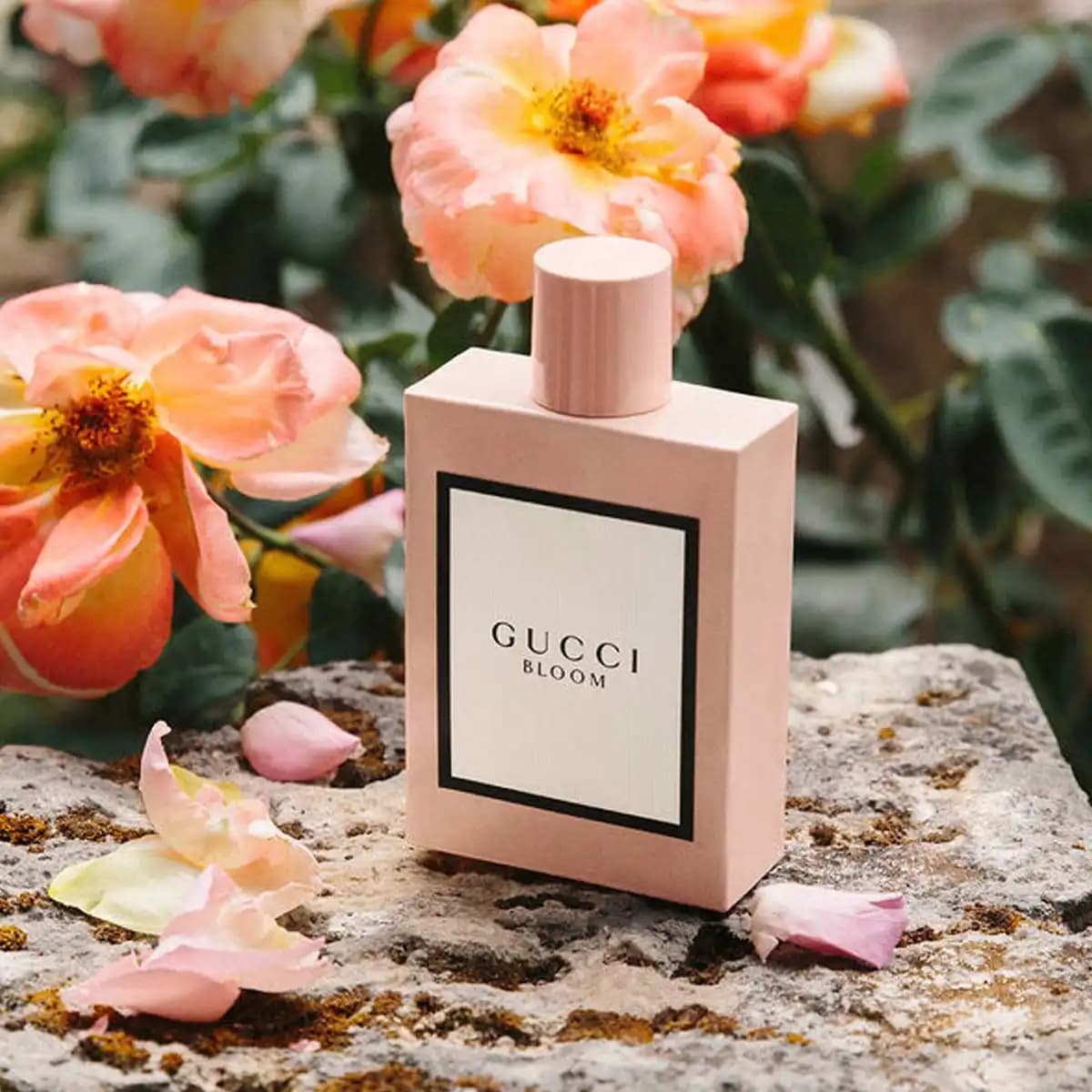 ادوپرفیوم زنانه گوچی بلوم _ Gucci Bloom — تصویر ۸