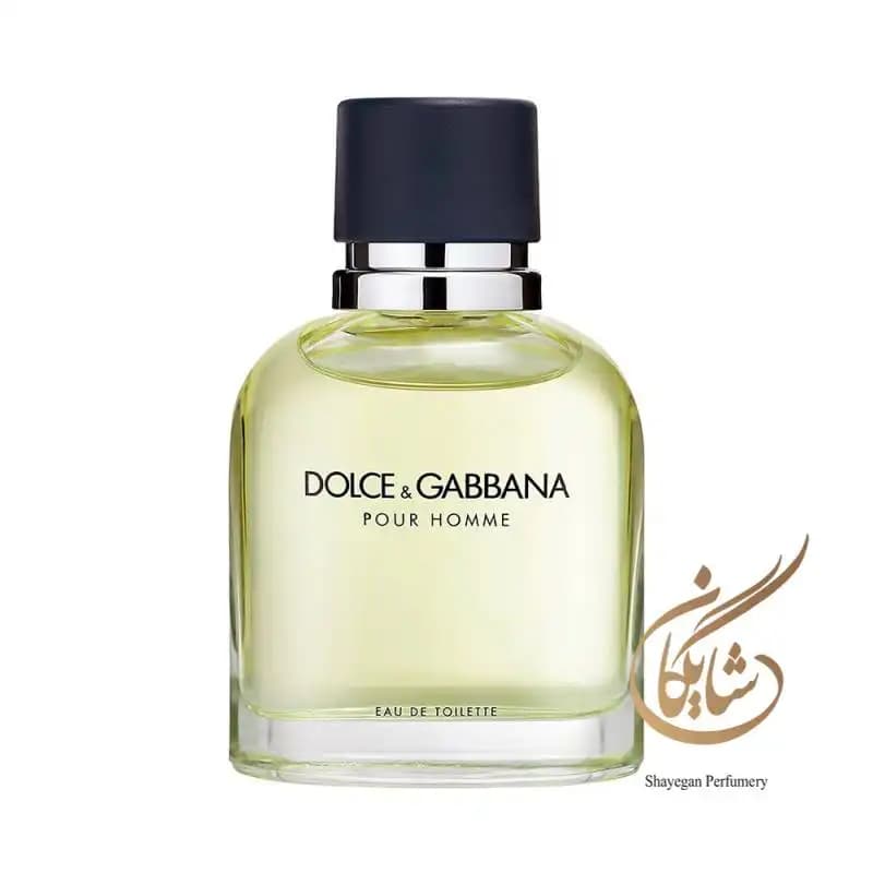 ادوتویلت مردانه دولچه گابانا پور هوم _ Dolce & Gabbana pour Homme — تصویر ۵