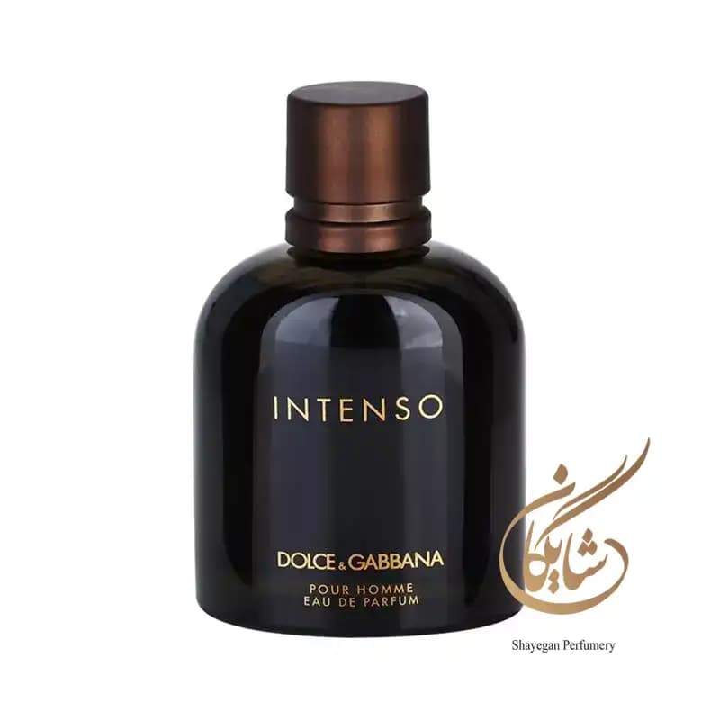 ادوپرفیوم مردانه دولچه گابانا پورهوم اینتنسو _ Dolce & Gabbana Pour Homme Intenso