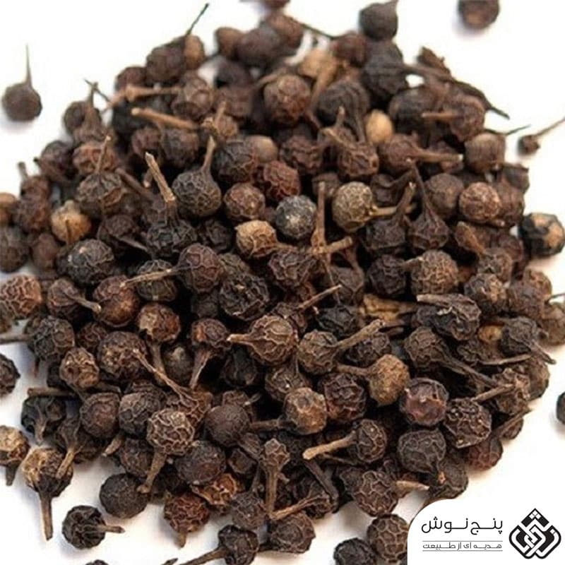 کبابه چینی 50گرمی — تصویر ۳