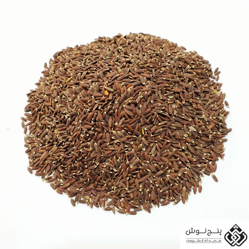 بزرک سیاه (سرشار از امگا 3) 50 گرمی