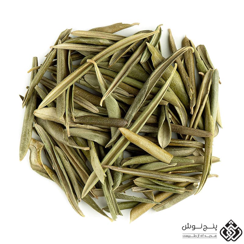 برگ زیتون دستچین (درمان دیابت) — تصویر ۲