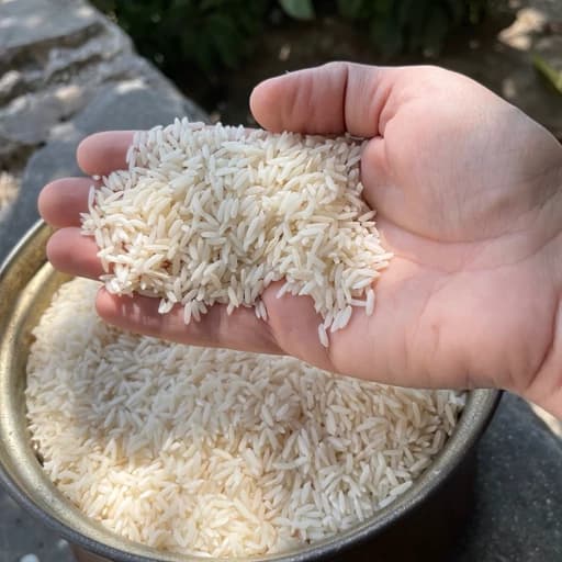 برنج طارم محلی هاشمی فریدونکنارارسال — تصویر ۴