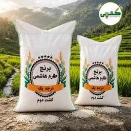 برنج طارم هاشمی کشت دوم — تصویر ۷