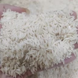 برنج طارم هاشمی کشت دوم — تصویر ۵