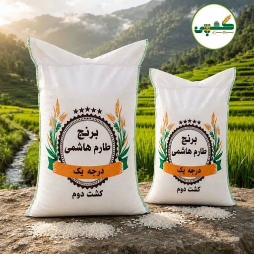 برنج طارم هاشمی کشت دوم — تصویر ۶