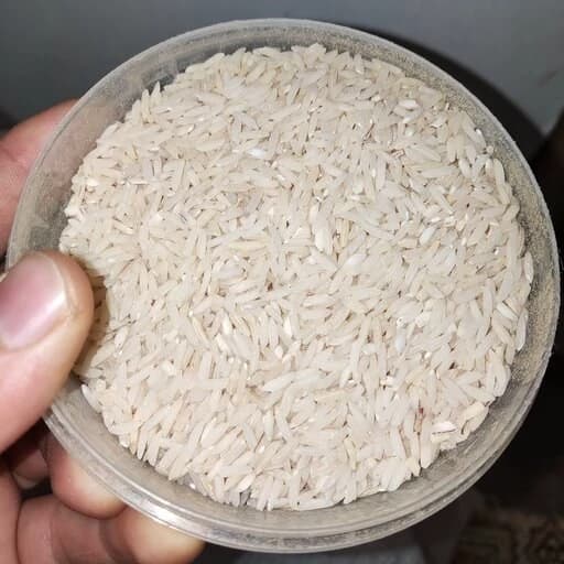 برنج طارم هاشمی اعلا اعیانی