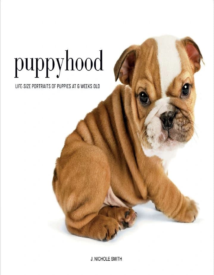 دانلود کتاب Puppyhood Life size Portraits of Puppies at 6 Weeks Old
