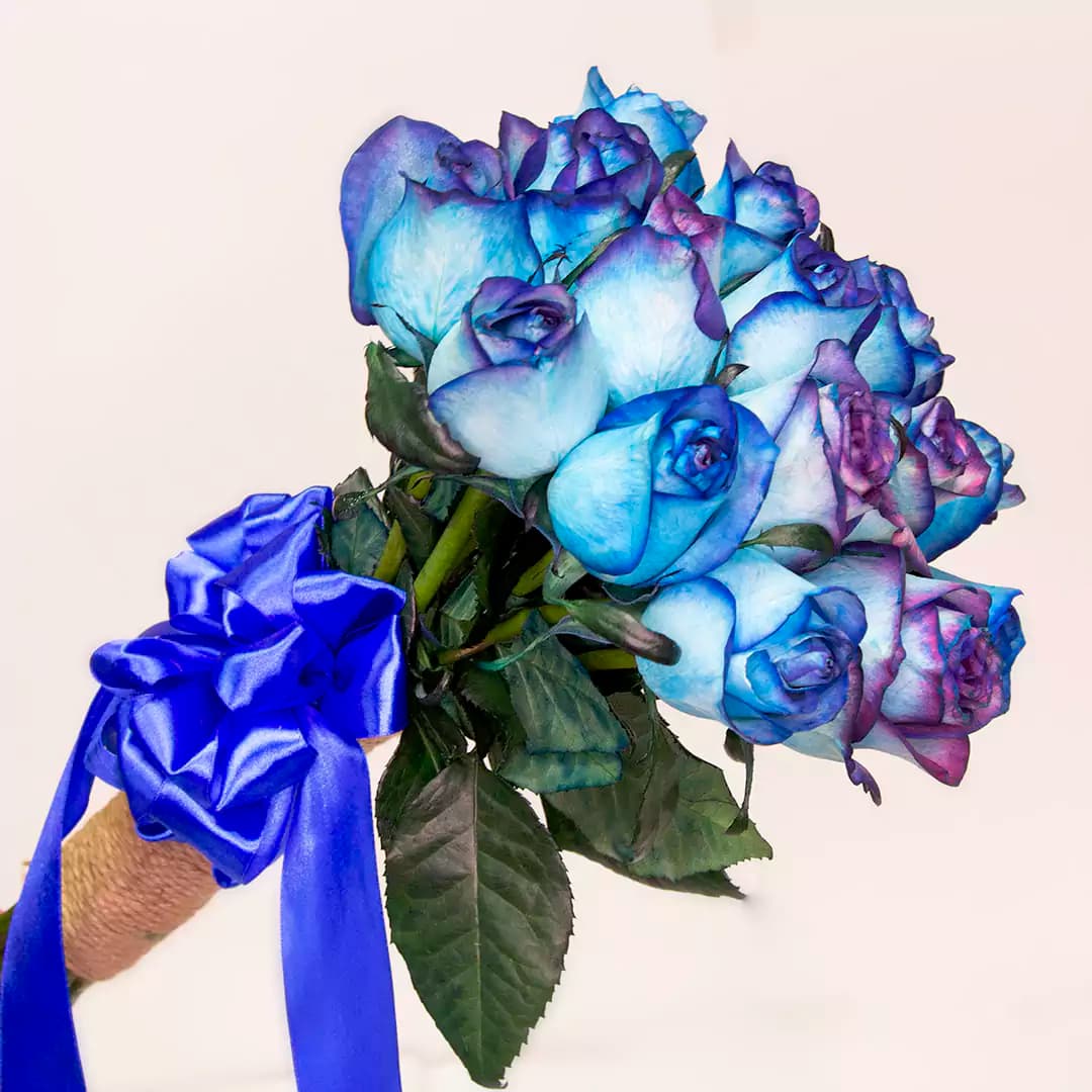 دسته گل رز آبی 15 شاخه کد 21908|باختر