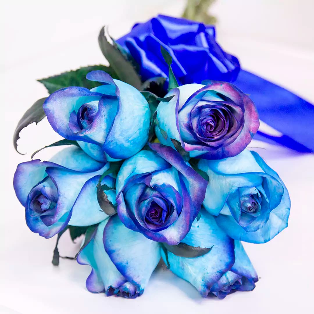 دسته گل رز آبی 7شاخه کد 21896|باختر — تصویر ۳