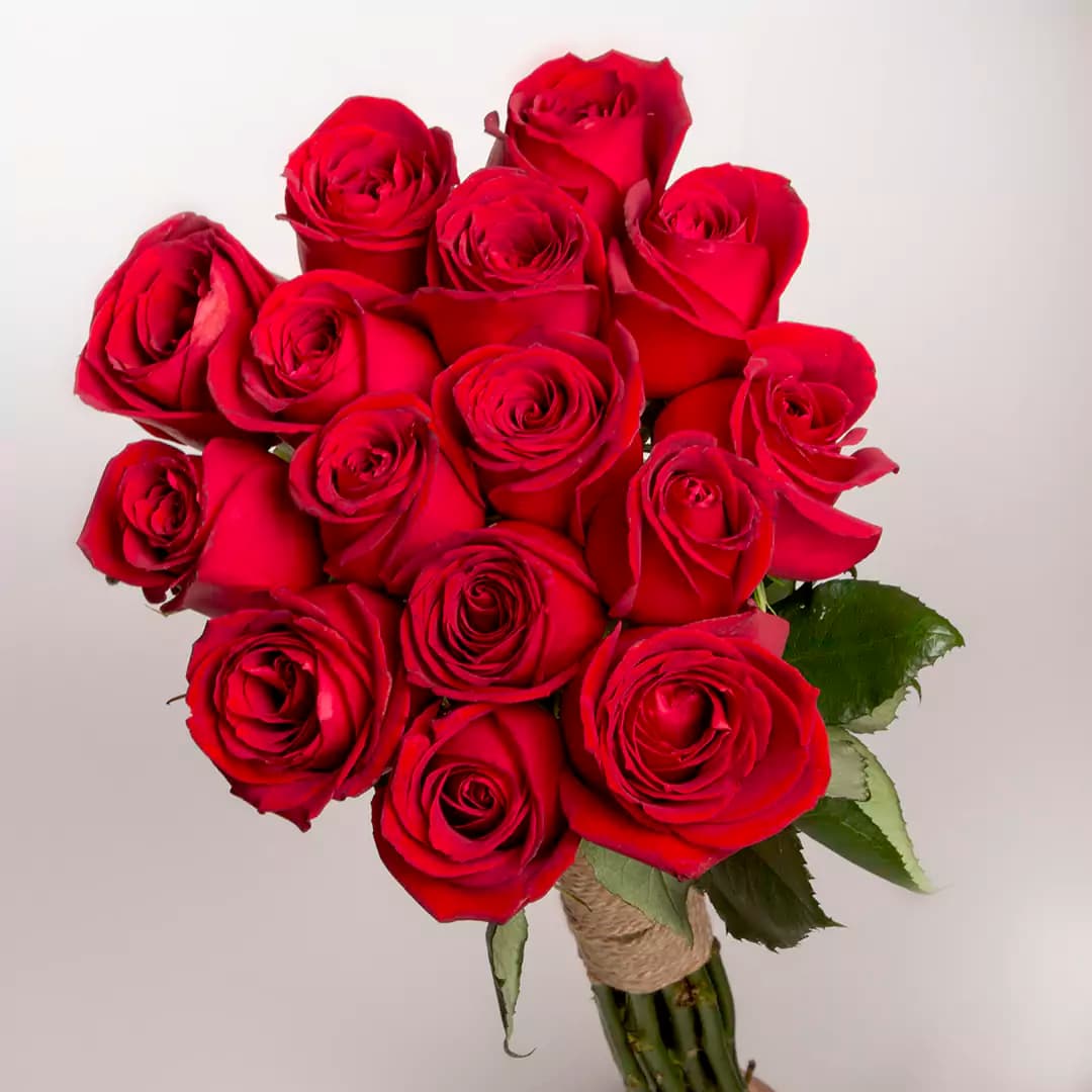 دسته گل رز هلندی قرمز کد 21323|باختر🌹 — تصویر ۳