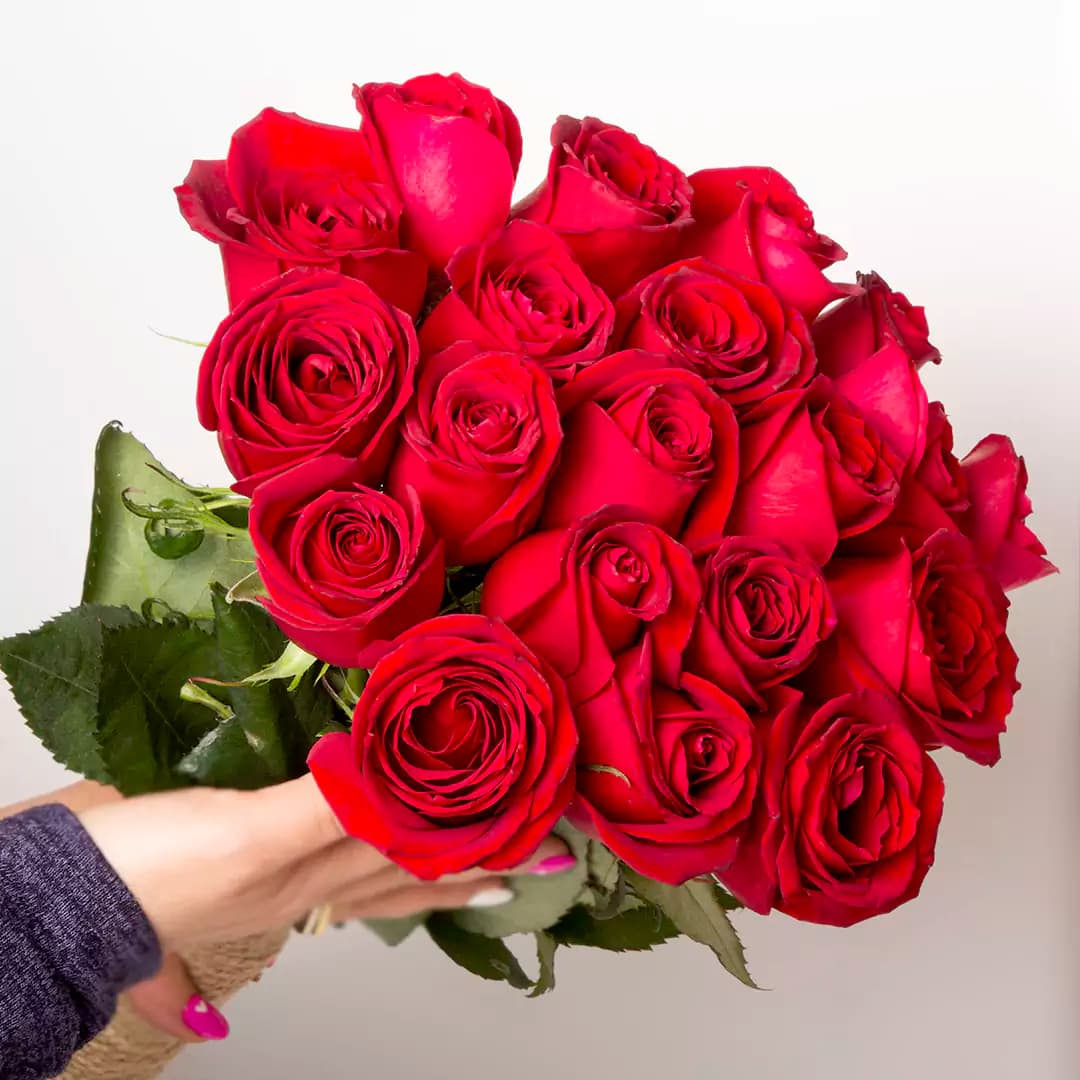خریددسته گل رز هلندی کد 21310|باختر🌹 — تصویر ۳