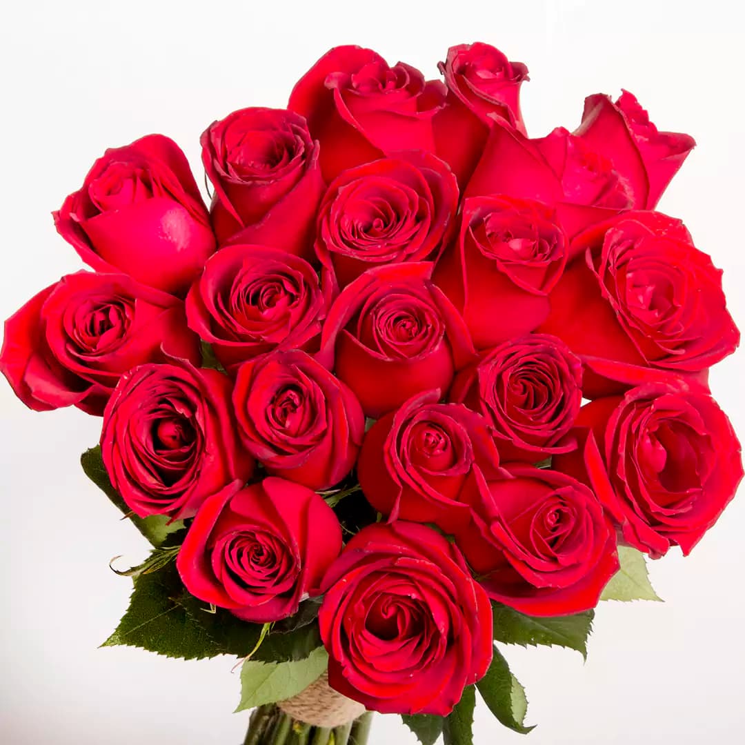 خریددسته گل رز هلندی کد 21310|باختر🌹 — تصویر ۵