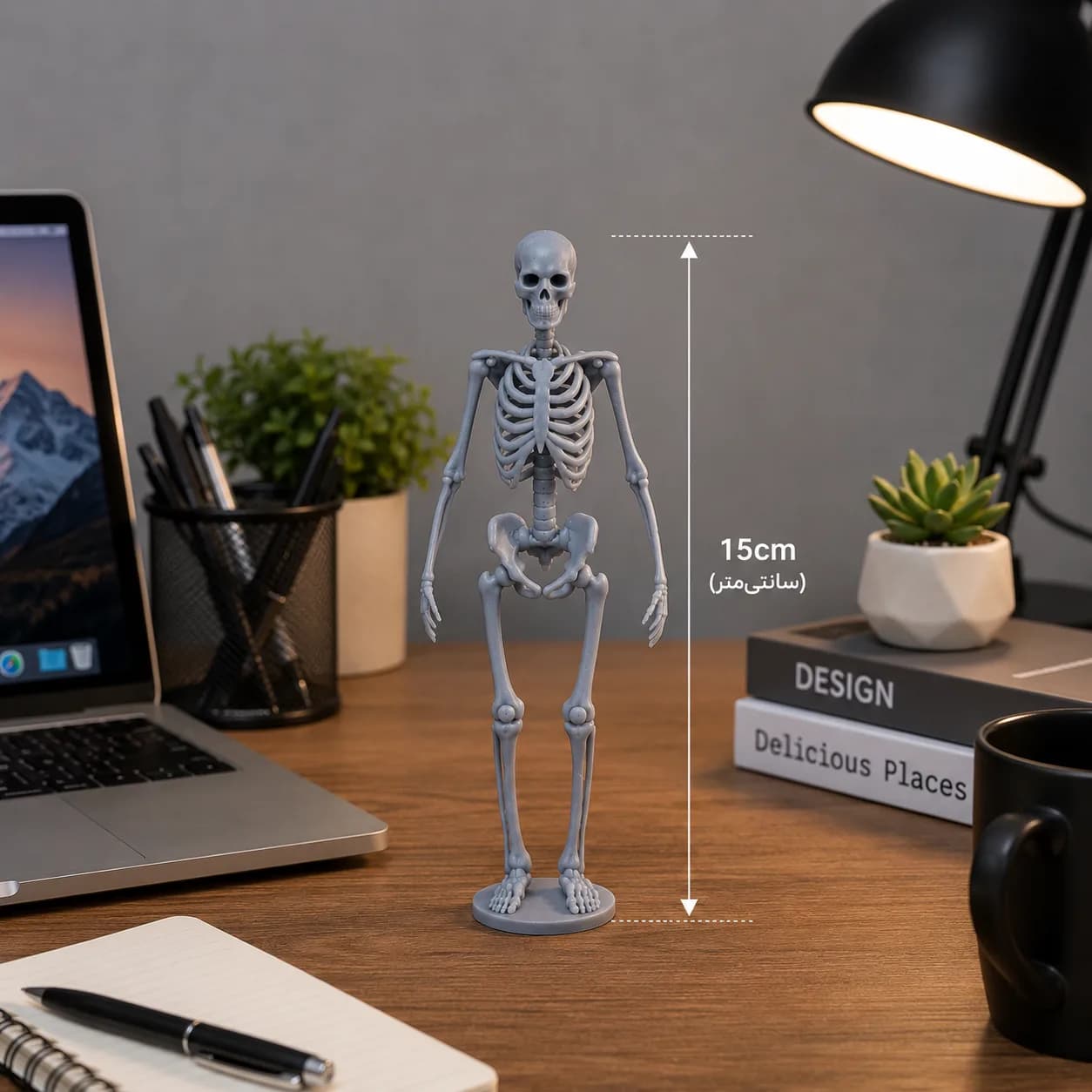 مجسمه دکوری اسکلت 15 سانتیمتری مدل Skeleton Decor — تصویر ۸