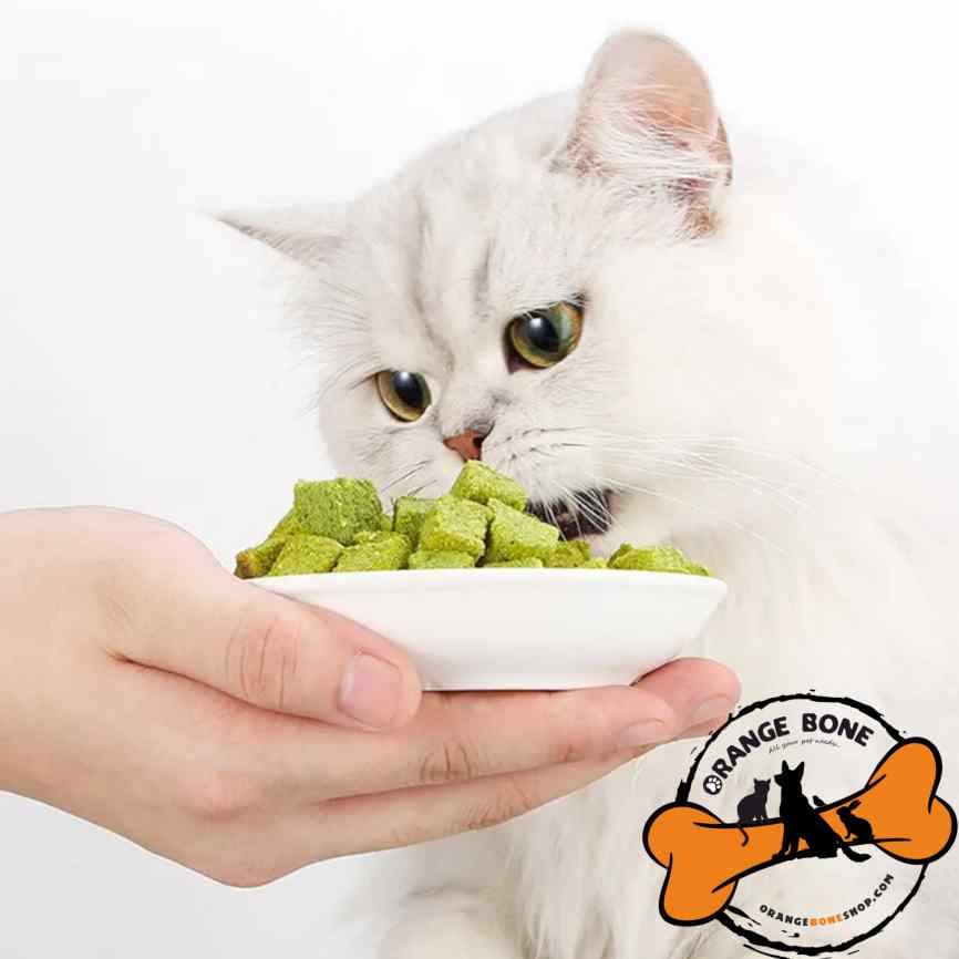 تشویقی فریز دراید حبه ای گربه پت اسنک — تصویر ۵