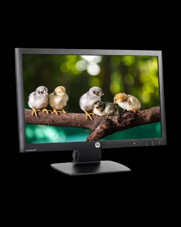 مانیتور استوک HP ProDisplay P221