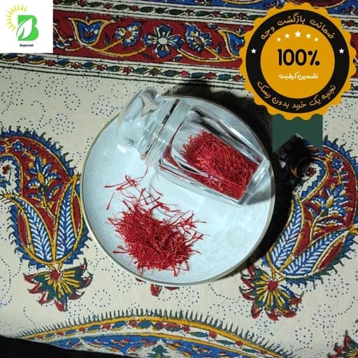 زعفران کاشت مشهد