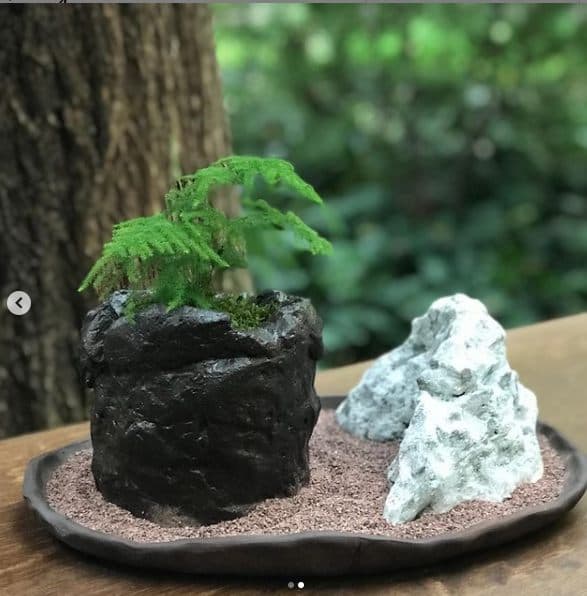 تراریوم مارچوبه ای ( استوانه ای ) — تصویر ۷