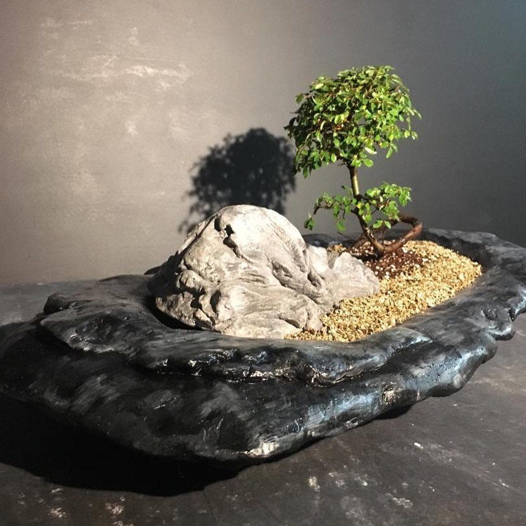 سازه سایکی بونسای نارون — تصویر ۸