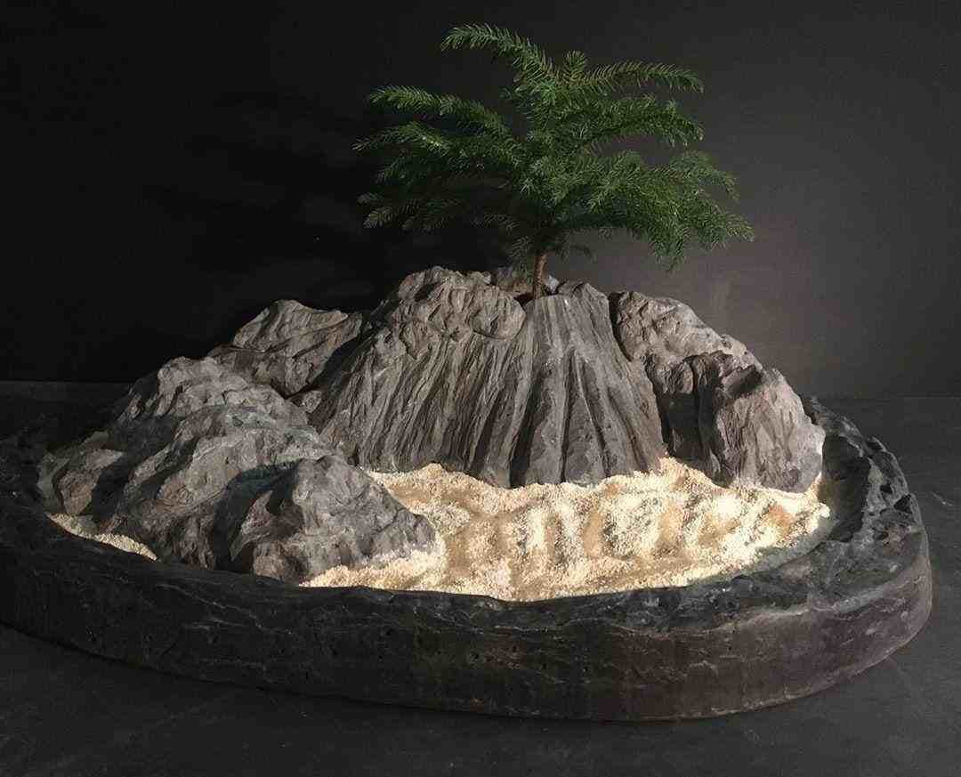 سازه صخره با شبه بونساى كاج آروكاريا — تصویر ۸