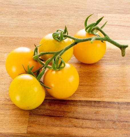 بذر گوجه خوشه ای زرد ( اورگانیک ) — تصویر ۲