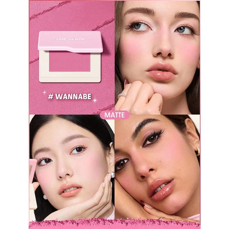 رژ گونه Dream Touch شیگلم ۱۰گرم — تصویر ۵