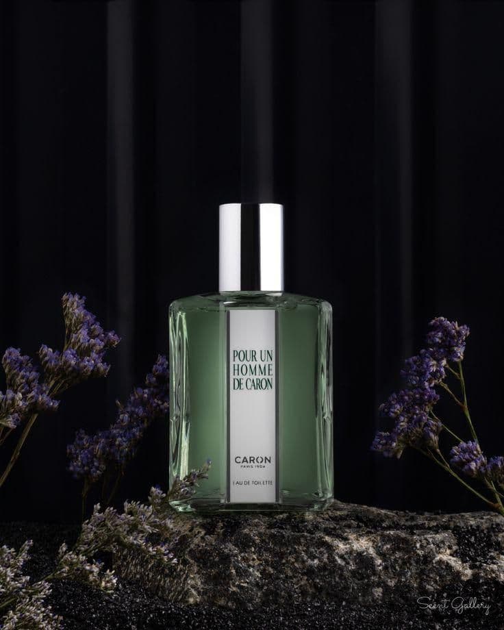 عطر ادکلن کارون پوران هوم — تصویر ۱۱