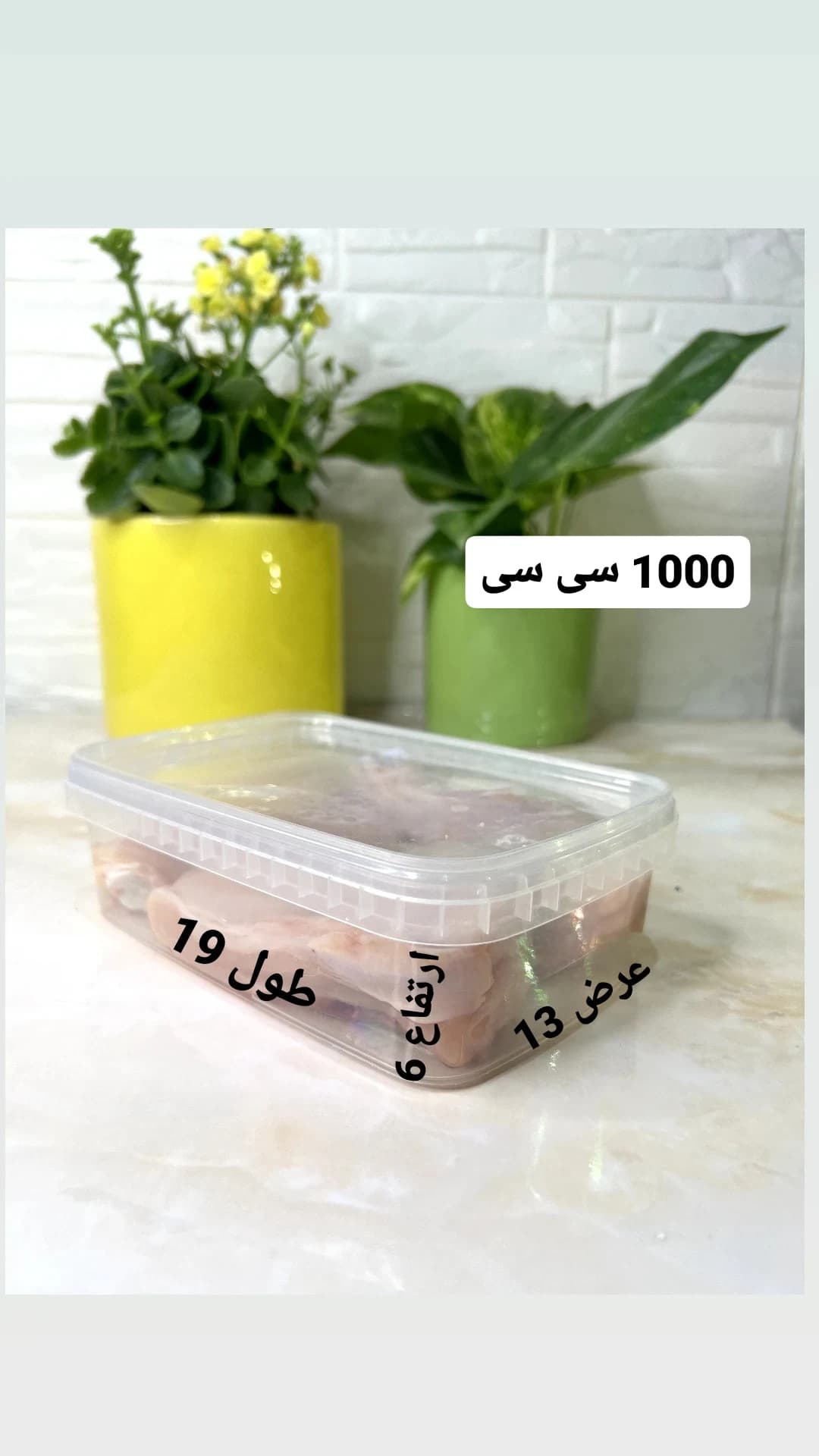 ظروف فریزری 1000 سی سی — تصویر ۵