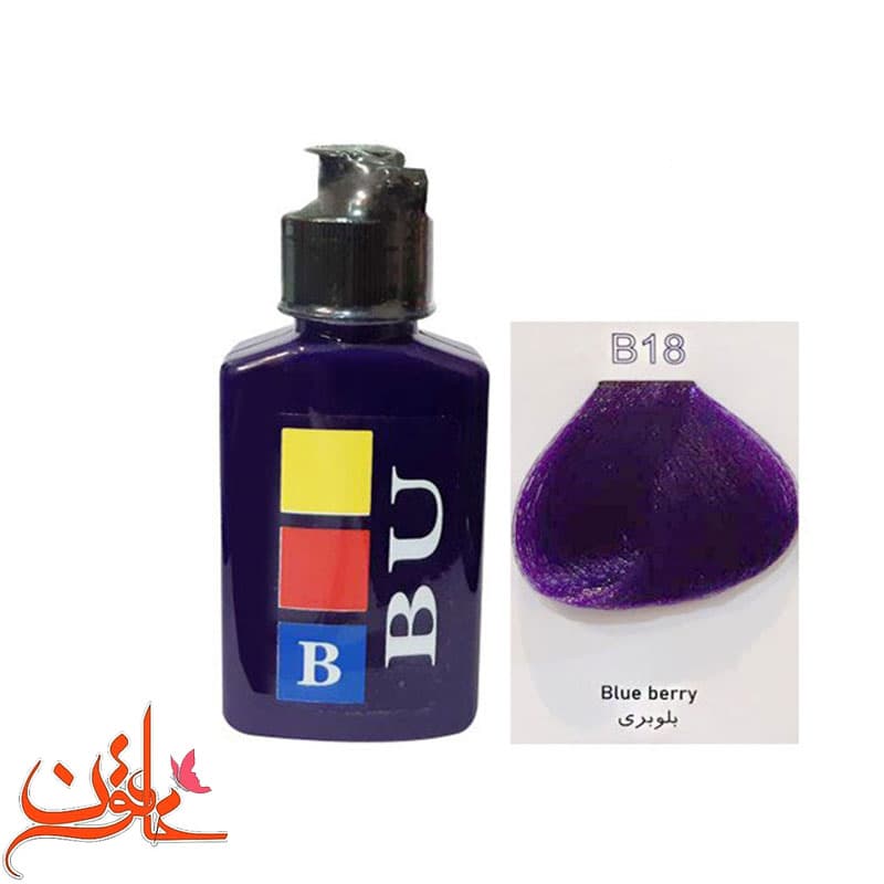 شامپو رنگساژ بیو رنگ بلوبری B18 — تصویر ۳