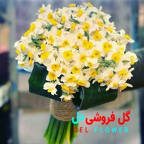 دسته گل نرگس 169