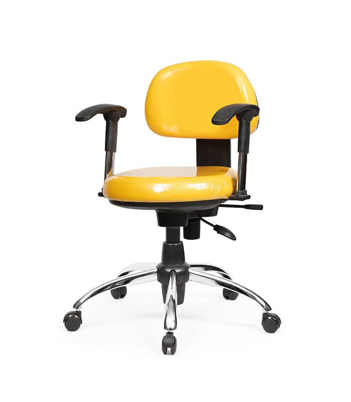 صندلی کارشناسی SK250
