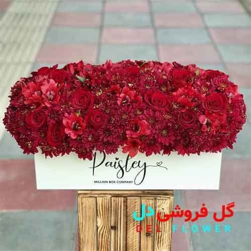 هدیه شب یلدا برای دختر 2029
