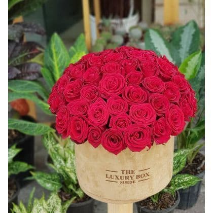 باکس گل هدیه 1018